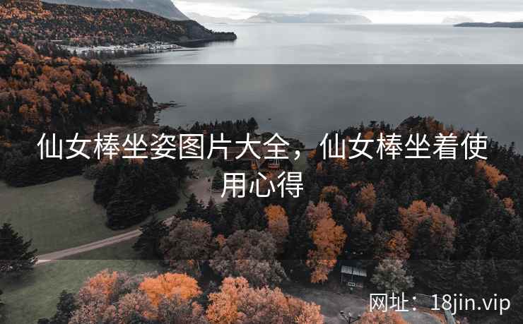 仙女棒坐姿图片大全，仙女棒坐着使用心得