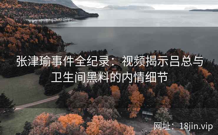 张津瑜事件全纪录：视频揭示吕总与卫生间黑料的内情细节