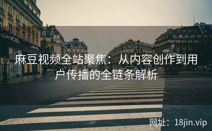 麻豆视频全站聚焦：从内容创作到用户传播的全链条解析