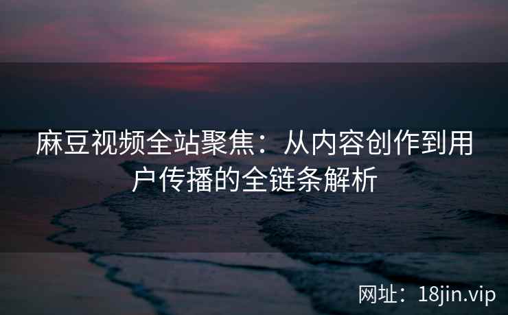 麻豆视频全站聚焦：从内容创作到用户传播的全链条解析