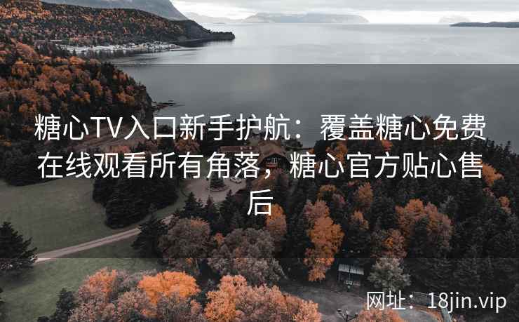 糖心TV入口新手护航：覆盖糖心免费在线观看所有角落，糖心官方贴心售后
