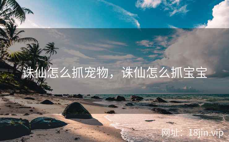 诛仙怎么抓宠物，诛仙怎么抓宝宝