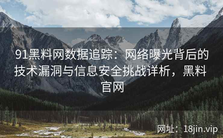 91黑料网数据追踪：网络曝光背后的技术漏洞与信息安全挑战详析，黑料 官网