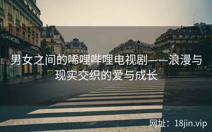 男女之间的唏哩哔哩电视剧——浪漫与现实交织的爱与成长