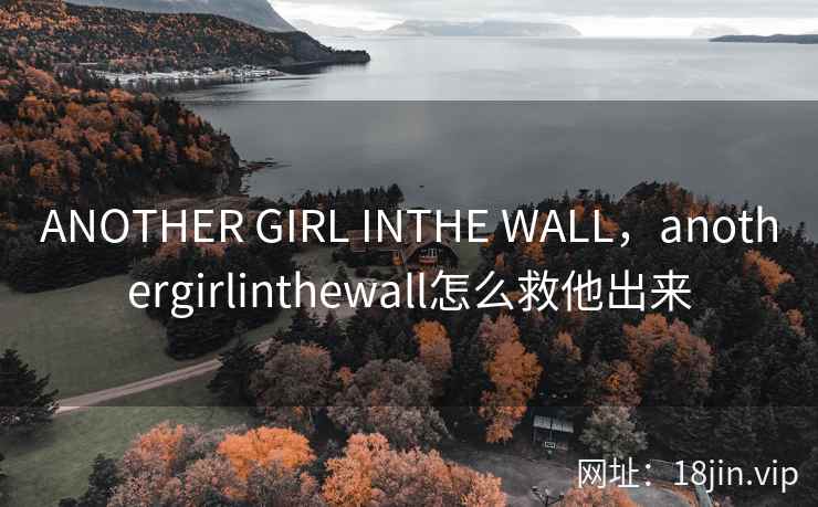 ANOTHER GIRL INTHE WALL，anothergirlinthewall怎么救他出来