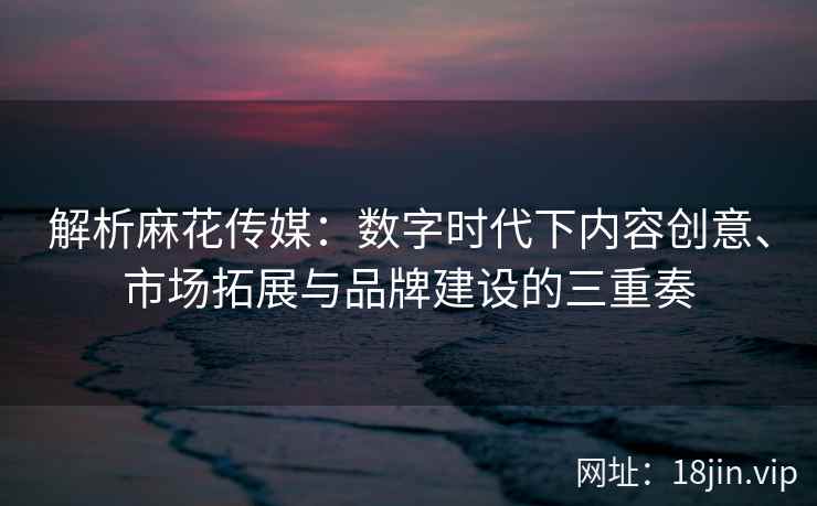 解析麻花传媒：数字时代下内容创意、市场拓展与品牌建设的三重奏